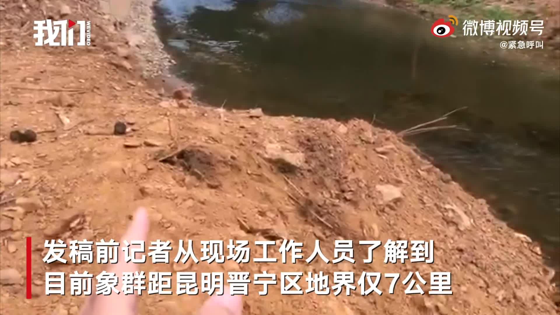 https：／／www.zhihu.com／video／1383359030035906560网络主播吃播象群吃剩的菠萝 网友怒斥蹭热点无底线