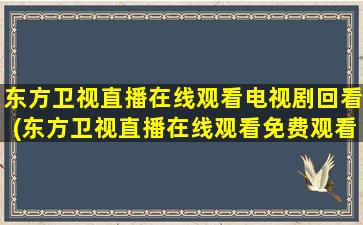 下午播放的电视剧是《流金岁月》的13-17集