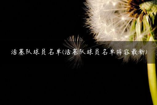 活塞队的核心球员包括著名内线球员布雷克·格里芬、控卫德里克·罗斯等人