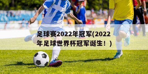 足球赛2022年冠军(2022年足球世界杯冠军诞生！)