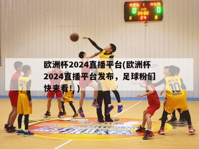 欧洲杯2024直播平台(欧洲杯2024直播平台发布，足球粉们快来看！)