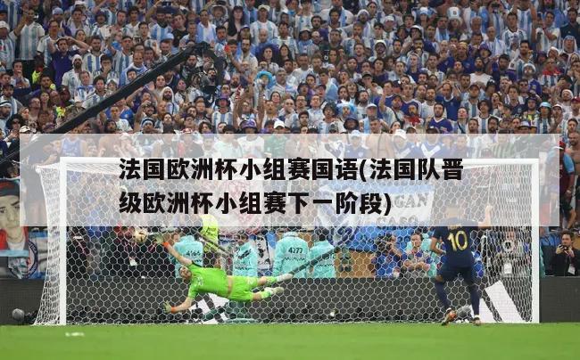 法国欧洲杯小组赛国语(法国队晋级欧洲杯小组赛下一阶段)